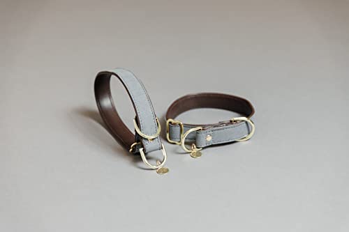 Collier Loop gris S 40 cm nylon tressé pour petit chien - 5