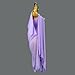 ZYDANC Latin Dance Great Swing Dress Chiffon Beach Long Maxi Skirt Salsa Tango Competition Outfit Ballroom Dresses,Purple,S