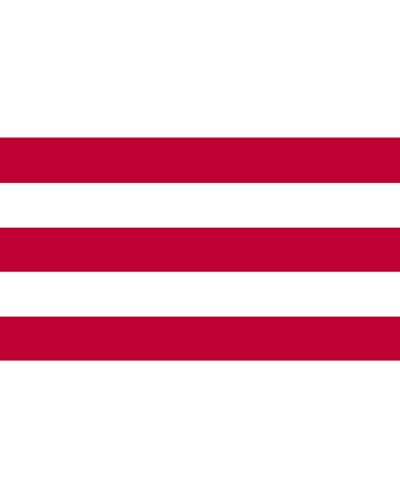 Drapeau Large Tsu domain l'héritage des samouraïs de la fin d'Edo