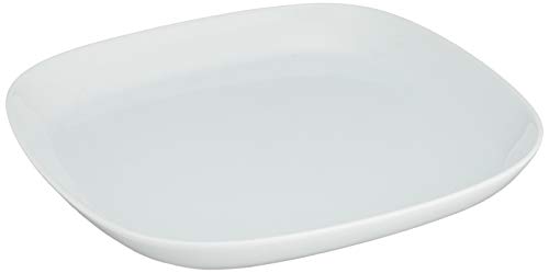 essence トルソー 角中皿 43025