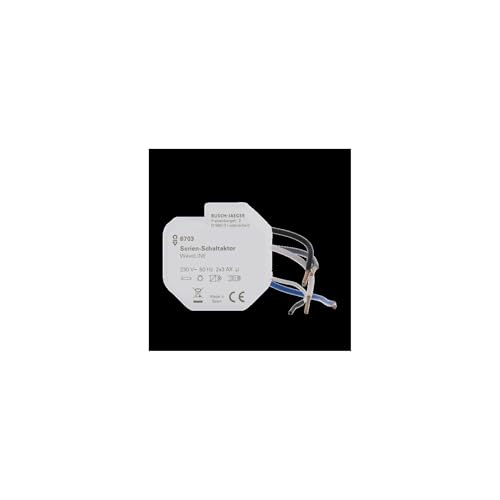 Busch-Jaeger 6703 Waveline alimentation stable et chargeur de série sécurisé - 2