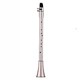 ZDXYLFFF ABS Mini Tragbares Kleines mit Tragetasche Holzblasinstrument,F Key
