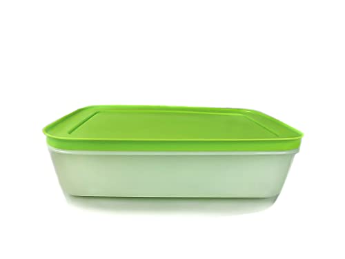 TUPPERWARE A01 Boîte Igloo 1,0 L blanc vert 14168