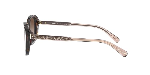 Coach HC8278 Sunglasses, Dark Tortoise/Brown Gradient, 53 mm4
