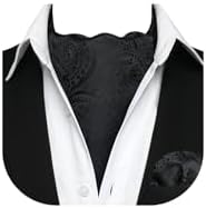HISDERN Ascot Ties for Men Paisley Cravat Tie and Pocket Square Set Floral Mens Ascot Scarf Handkerchief Wedding Party