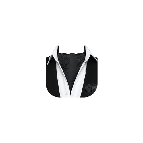 HISDERN Ascot Ties for Men Black Paisley Cravat Tie and Pocket Square Set Floral Mens Ascot Scarf Handkerchief Wedding Party