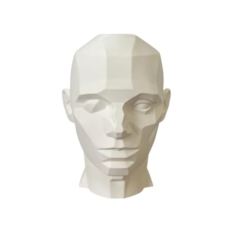 John Asaro Planar Head XL Cover