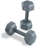 20 lb. Hex Dumbbells (Pair)