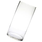 SHINEOFI Vase Cylindrique en Verre Transparent Décoration Simple et Moderne Résistant pour Fleurs Fraîches ou Séchées Maison, Bureau ou Occasions Spéciales