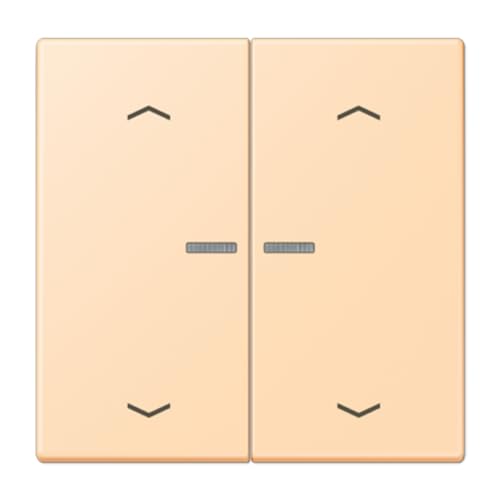 Touche JUNG HOME 2 phases volet roulant LC32060 noir pour interrupteur connecte