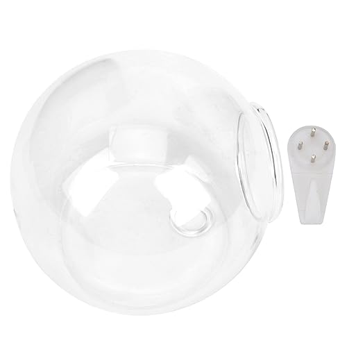 HANABASS Jarrón Colgante De Vidrio Transparente para Plantar, Contenedor Decorativo 11,5x12 Cm para Flores y Plantas, Florero Hidropónico para Hogar, Sala y Oficina