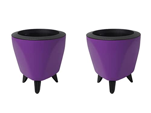 Image of Garden Art (Pack of 2 Indoor Outdoor Self Watering Planter Home Living Room Office Tabletop Decorative Plastic Flower Pot 5.1 Inch (Purple, 2) PPLAPL