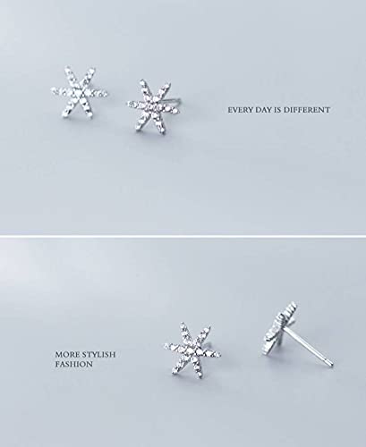 Boucles d'oreilles flocon de neige et étoile à six branches