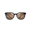 Translucent Rootbeer/Hcl Bronze Polarized