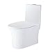 WinZo Modern Bathroom Elongated One Piece Toilet with Tornado Dual Flush Soft Closing Seat, Gross white