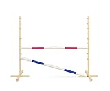 Super Hobby Horse