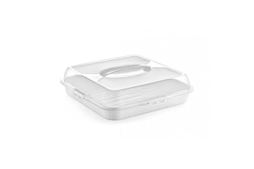 Stolmet Cake Box, Plastic Clear Cake Carrier, Reusable Storage Container for Cupcakes, Muffins or Cakes, Many Styles, Ideal for Transporting Pastries, Cake Box with Lid (Ivory Square)