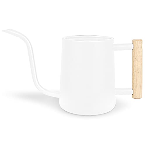 Image of Watering Can Indoor Plants, 35 oz /1000 ml Metal Stainless Steel Watering Can Pot with Long Spout for Indoor House Plants Bonsai Outdoor Garden Flower Decorative (White)