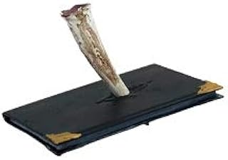 Factory Entertainment Kuzos Harry Potter Riddle Diary