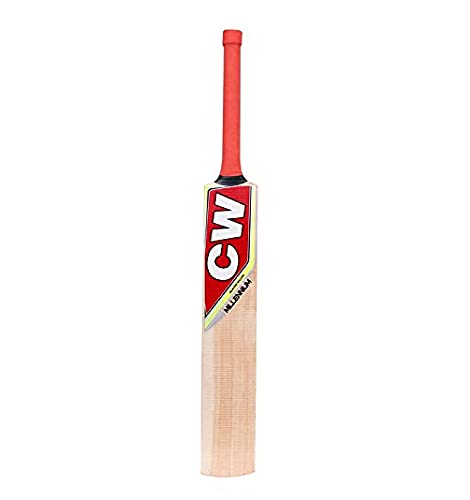 CW PACE Sports Combo in pelle palla gioco kashmir salice mazza da cricket full size con tiro pratica palla in pelle appeso con corda