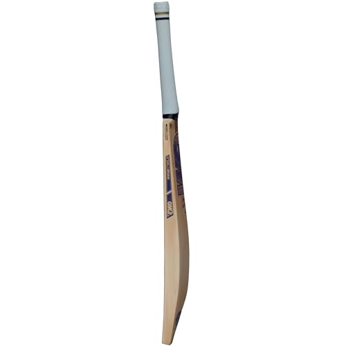 Image of GM Brava 606 English Willow Cricket Bat, Adult Size - Short Handle, Fully Knocked and Ready to Play with Toe Guard