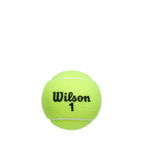 Image of WILSON Championship Tennis Balls