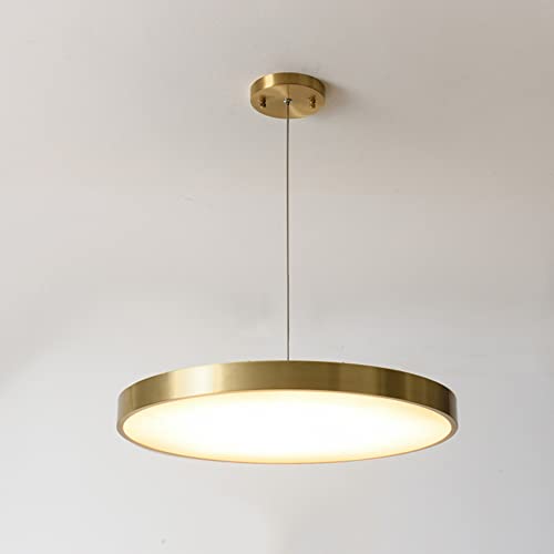 Lustre de salle à manger à disque suspendu et luminaire LED moderne réglable