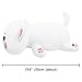 Plüschtier Katze Groß Stofftier Plüschkätzchen Kuscheltier Kissen Tierkissen Ausgestopftes Tier Plüsch Kissen Kuscheliger Plüsch Puppen Spielzeug für Kinder, Geburtstagsgeschenk Anime Plushie