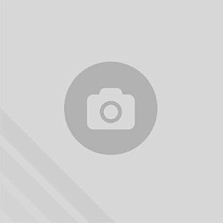 SAI GEMBIRD 3 SCHUKO INTER WITH FUSE 10 A ENC C14 CABLE 0 6 M BLACK