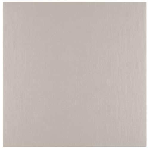 Florence Cartulina de Lino 30,5 x 30,5 cm Gris - 10 Hojas Rhino de 250 g - Folios de Colores para Scrapbook, Tarjetas, Invitactiones de Boda y Manualidades