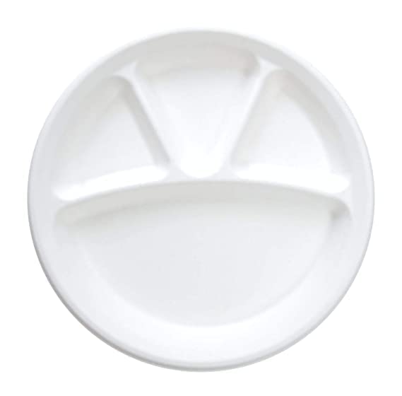 Buy Hookcart™ Use and Throw Plates for Dinner, Disposable Plates with
