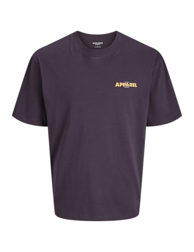 Vêtements Jack & Jones Jjebradley Graphic Tee Ss O Neck Noos pour - vue 3