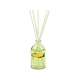 MIKADO AMBIENTADOR 100ml DAMA DE NOCHE(PLUS HOME)