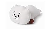 Lerion BT-S Pillow Doll Plush Small Plush Puppets Toy Bangtan Boys Throw Pillow Cushion Perfect for Home/Car/Office/Travel/School Decor Great Gift (Rj)