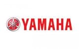 Yamaha Motor
