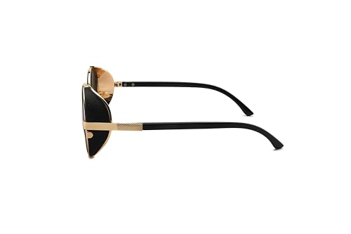 Technigadgets Rowan Steampunk Round Sunglasses Metal Vintage Retro Side Shield Gift For Men Women UV400 Outdoor Fashion Eyewear UV Protection Gold/Black3