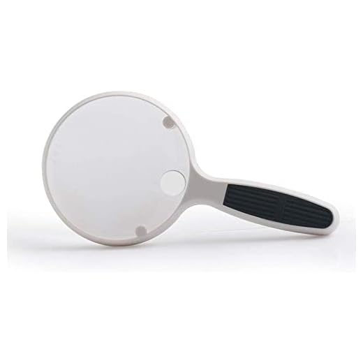 Compact Handheld Reading Magnifier with Light