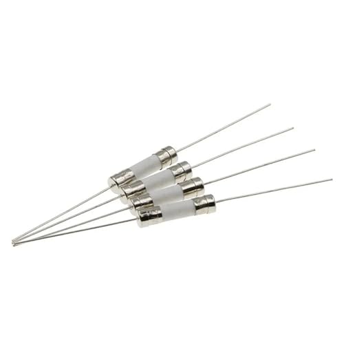 Fusible céramique anti-surtension 5x20mm 15A résistant aux pics de démarrage des moteurs