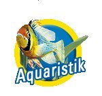 Tetra EasyCrystal FilterBox 300 Kit von Ersatzteilen für Aquarium