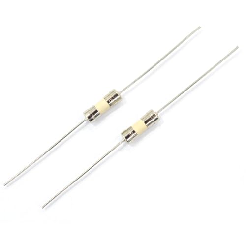 Fusible 3.6x10 mm à action lente rupture rapide tube céramique avec broche 1A 250V