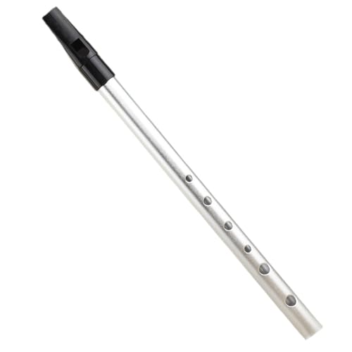 KANLVU Flauta Dulce Soprano Digitación Alemana 6 Agujeros Flauta Escolar Para Niños Principiantes, Estudiantes Educación Musical Flauta De Pico Irlandesa Flautín(Silver,D key)