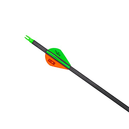 Hbg Archery (12Pack) Carbon Arrows 32" Spine 300 Hunting Target For Compound Bow Takedown Recurve Bow Longbow #TOP2