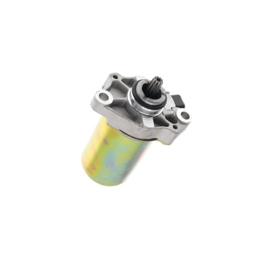 Motor de arranque para solucionar fallos de encendido en ZIP 50 3