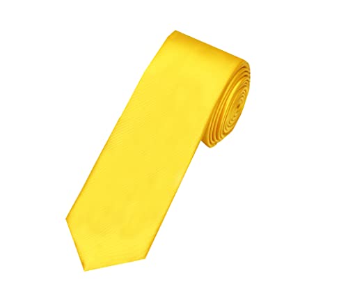 Image of TIE STUDIO Mens Formal Neckties| Standard Size | Premium fabric | Superior finishing| Packaging - Folder | Set of 1