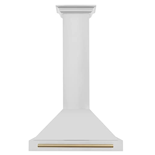 ZLINE 30' Autograph Edition Stainless Steel Range Hood with Stainless Steel Shell and Champagne...