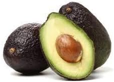 Lamb Has Avocado Grafted Tree - 1 Feet Tall - Ship in Plastic Bag