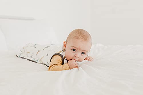 Image of Copper Pearl Baby Sleep Sack, Ace - Wearable Blanket for 0-6 Months, Sleeveless Sleep Sack for Baby Boy or Girl