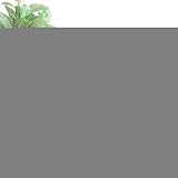 Stabilité optimisée : Carafe à whisky dotée d'une base en forme de camion antidérapante garantissant une pose stable et un bouchage étanche pour un usage quotidien, tandis que le verre épais renforce la durabilité et l'esthétique.