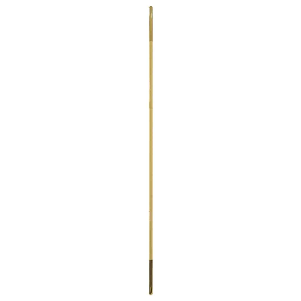 Golden Wandspiegel oval 70 x 30 cm Glas PVC Rahmen Wandmontage für Flur Bad Schlafzimmer, Ganzkörper Spiegelbild für Kosmetik Rasur
