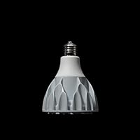 アガベ4種+ヘリオスLEDライト4個セット アガベ4種+ヘリオスLEDライト4個セット